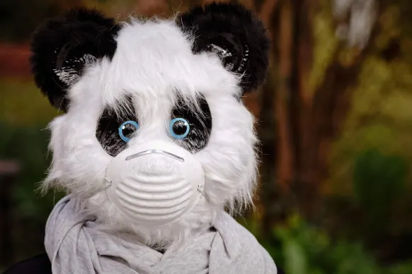 СТАЙ Казино Поддръжка